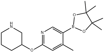 4-Methyl-2-(piperidin-3-yloxy)-5-(4,4,5,5-tetraMethyl-1,3,2-dioxaborolan-2-yl)pyridine Struktur