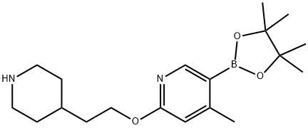 4-Methyl-2-(2-(piperidin-4-yl)ethoxy)-5-(4,4,5,5-tetraMethyl-1,3,2-dioxaborolan-2-yl)pyridine Struktur