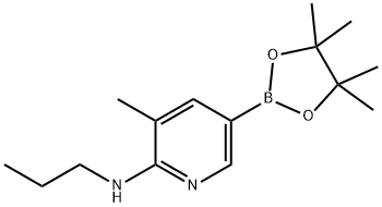 3-Methyl-N-propyl-5-(4,4,5,5-tetraMethyl-1,3,2-dioxaborolan-2-yl)pyridin-2-aMine Struktur