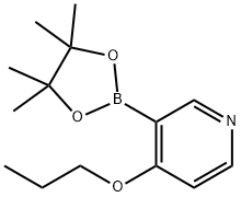 4-propoxy-3-(4,4,5,5-tetraMethyl-1,3,2-dioxaborolan-2-yl)pyridine Struktur