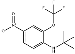 N-tert-Butyl-4-nitro-2-(trifluoromethoxy)aniline Struktur