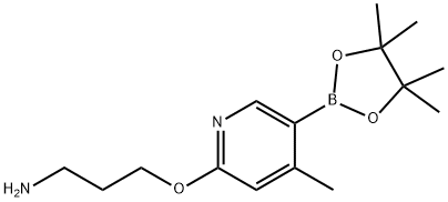 3-((4-Methyl-5-(4,4,5,5-tetraMethyl-1,3,2-dioxaborolan-2-yl)pyridin-2-yl)oxy)propan-1-aMine Struktur