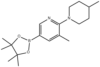 5-Methyl-6-(4-Methylpiperidin-1-yl)pyridin-3-ylboronic acid Struktur