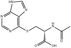 S-(6-purinyl)-N-acetylcysteine Struktur