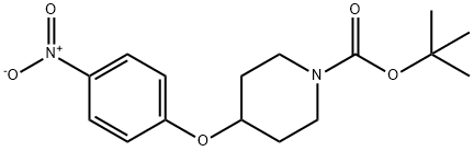 4-(4-ニトロフェノキシ)-1-ピペリジンカルボン酸t(yī)ert-ブチル price.