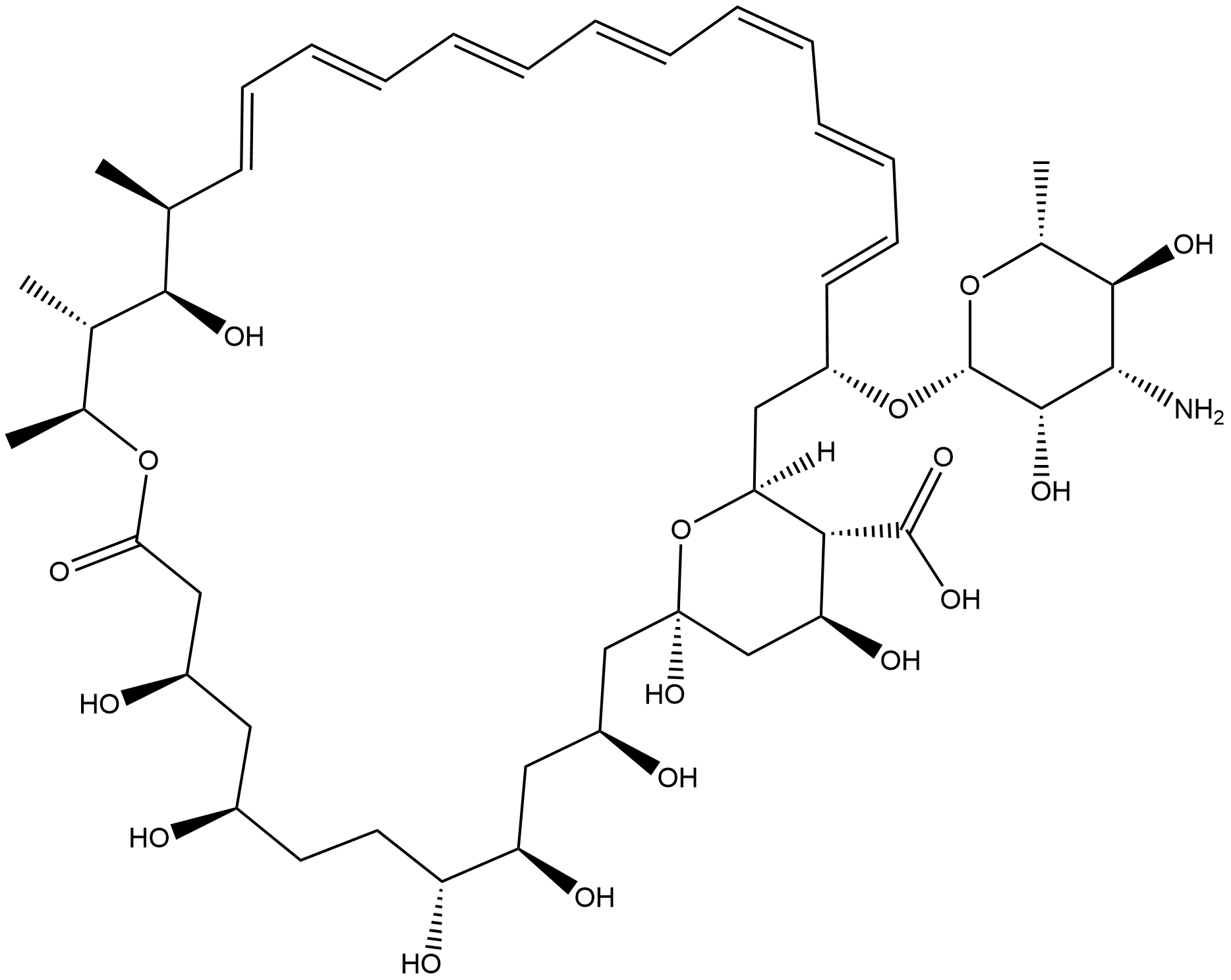 Amphotericin B Struktur