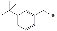 1-(3-tert-butylphenyl)methanamine price.