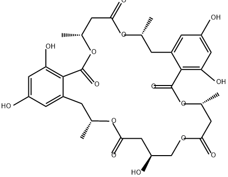 NG 011 Struktur