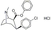 RTI-113 Struktur