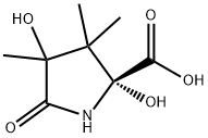 2,4-dihydroxy-3,3,4-trimethylpyroglutamic acid Struktur