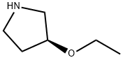 ETHOXYPYRROLIDINE(S-3-)|(S)-3-乙氧基吡咯烷