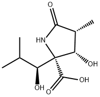 (3R,4S,5R)-4-HYDROXY-5-[(1S)-1-HYDROXY-2-METHYLPROPYL]-3-METHYL-2-PYRROLIDINONE-5-CARBOXYLIC ACID Struktur