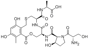 cyclothialidine Struktur