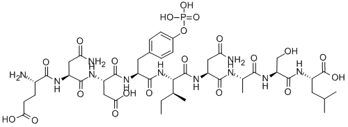 PROTEIN TYROSINE PHOSPHATASE SUBSTRATE I