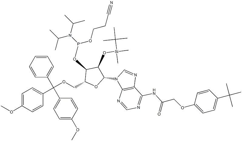 DMT-2'O-TBDMS-RA(TAC) AMIDITE 0.5G  AB Struktur