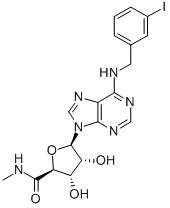 IB-MECA Structure