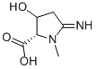 Proline, 3-hydroxy-5-imino-1-methyl- (9CI) Struktur