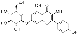 KAEMPFEROL-7-O-GLUCOSIDE