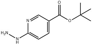 3-Pyridinecarboxylicacid,6-hydrazino-,1,1-dimethylethylester(9CI) Struktur