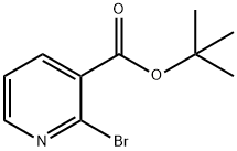 TERT-BUTYL-2-BROMONICOTINATE Struktur