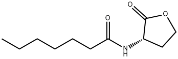 C7-HSL Struktur