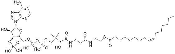 (C16:1) COENZYME A Struktur