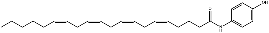 AM 404 Struktur