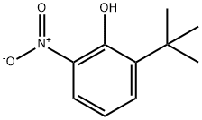 2-tert-butyl-6-nitrophenol Struktur