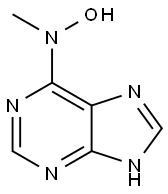 N-methyl-N-(7H-purin-6-yl)hydroxylamine Struktur