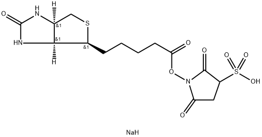 Sulpho NHS biotin Struktur