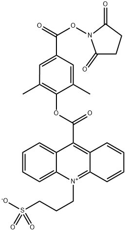 NSP-DMAE-NHS Structure