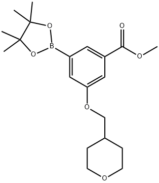 3-(Tetrahydropyran-4-ylmethoxy)-5-(4,4,5,5-tetramethyl-[1,3,2]dioxaborolan-2-yl)-benzoic acid Struktur