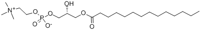 20559-16-4 結(jié)構(gòu)式