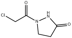 3-Pyrazolidinone, 1-(chloroacetyl)- (9CI) Struktur