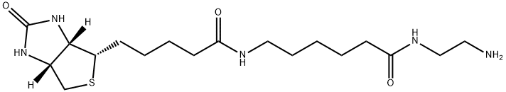 1H-Thieno[3,4-d]iMidazole-4-pentanaMide, N-[6-[(2-aMinoethyl)aMino]-6-oxohexyl]hexahydro-2-oxo-, (3aS,4S,6aR)- Struktur