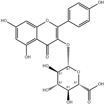 KAEMPFEROL-3-GLUCURONIDE