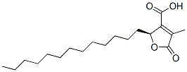 (S)-2-tridecyl-2,5-dihydro-4-methyl-5-oxo-3-furoic acid Struktur