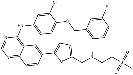 Lapatinib