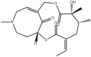 SENKIRKIN