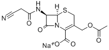 Natrium-(6R-trans)-3-(acetoxymethyl)-7-(cyanacetamido)-8-oxo-5-thia-1-azabicyclo[4.2.0]oct-2-en-2-carboxylat