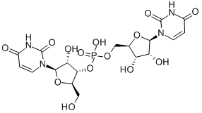 URIDYLYL-(3',5')-URIDINE Struktur