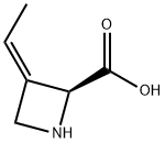 Polyoximic acid Struktur