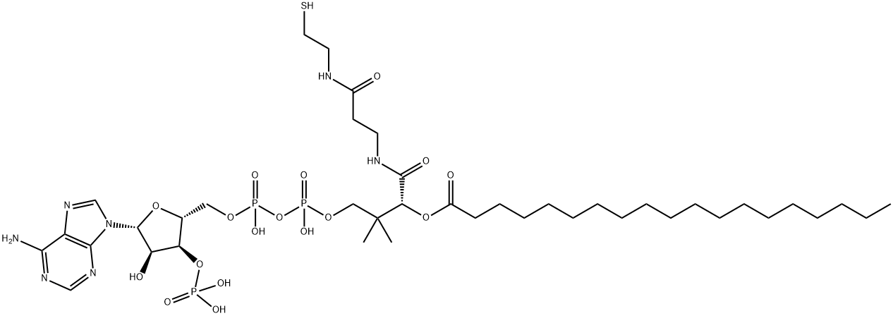 NONADECANOYL COENZYME A Struktur