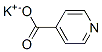 Isonicotinicacidpotassiumsalt