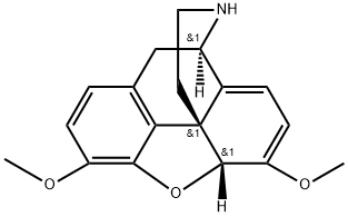 17-Northebaine Struktur