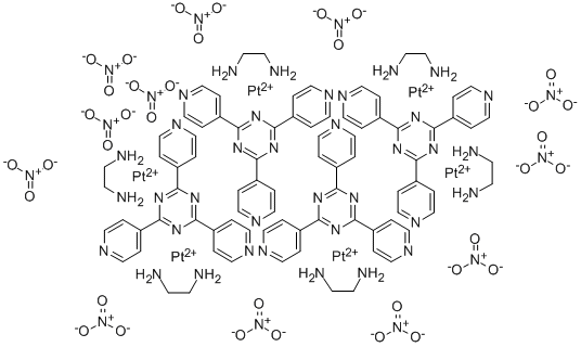 PLATINUM NANOCAGE Struktur