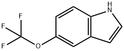 5-Trifluoromethoxy-1H-indole