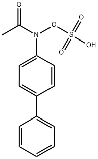 N-(1,1'-Biphenyl)-4-yl-N-(sulfooxy)acetamide Struktur