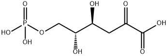 4,5-dihydroxy-2-oxo-6-phosphonooxy-hexanoic acid Struktur