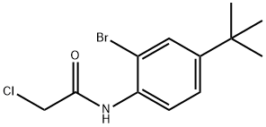 N1-[2-BROMO-4-(TERT-BUTYL)PHENYL]-2-CHLOROACETAMIDE Struktur